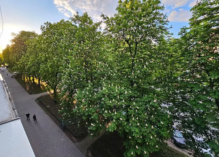 Komfortowo I Cicho - Apartament
